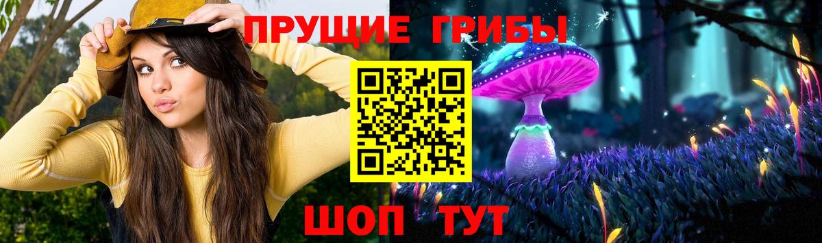 Пугачёв  наркошоп  Вход с VPN  Галлюциногенные грибы MAGIC MUSHROOMS 