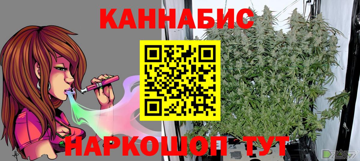 Бошки марихуана семена  МАРИХУАНА марихуана  Каннабис Amnesia  Бошки Шишки Bruce Banner  Пугачёв  Вход с VPN 