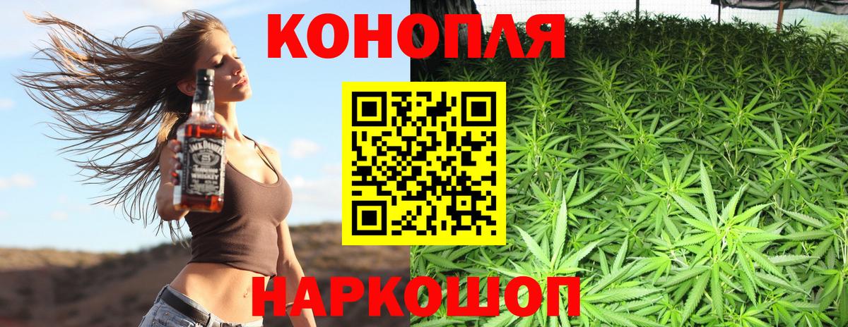 Бошки марихуана семена Пугачёв